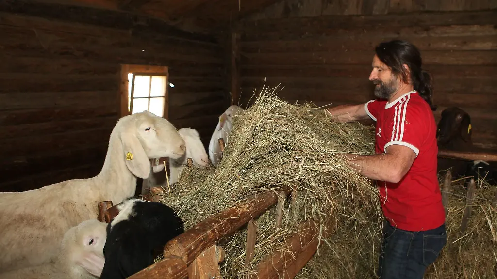 Alexander-Huber-bei-seinen-Schafen