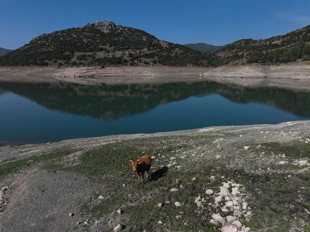2024-09-03T142008Z-1767849671-RC2YS9A3244H-RTRMADP-3-EUROPE-WEATHER-GREECE-DROUGHT-LAKE