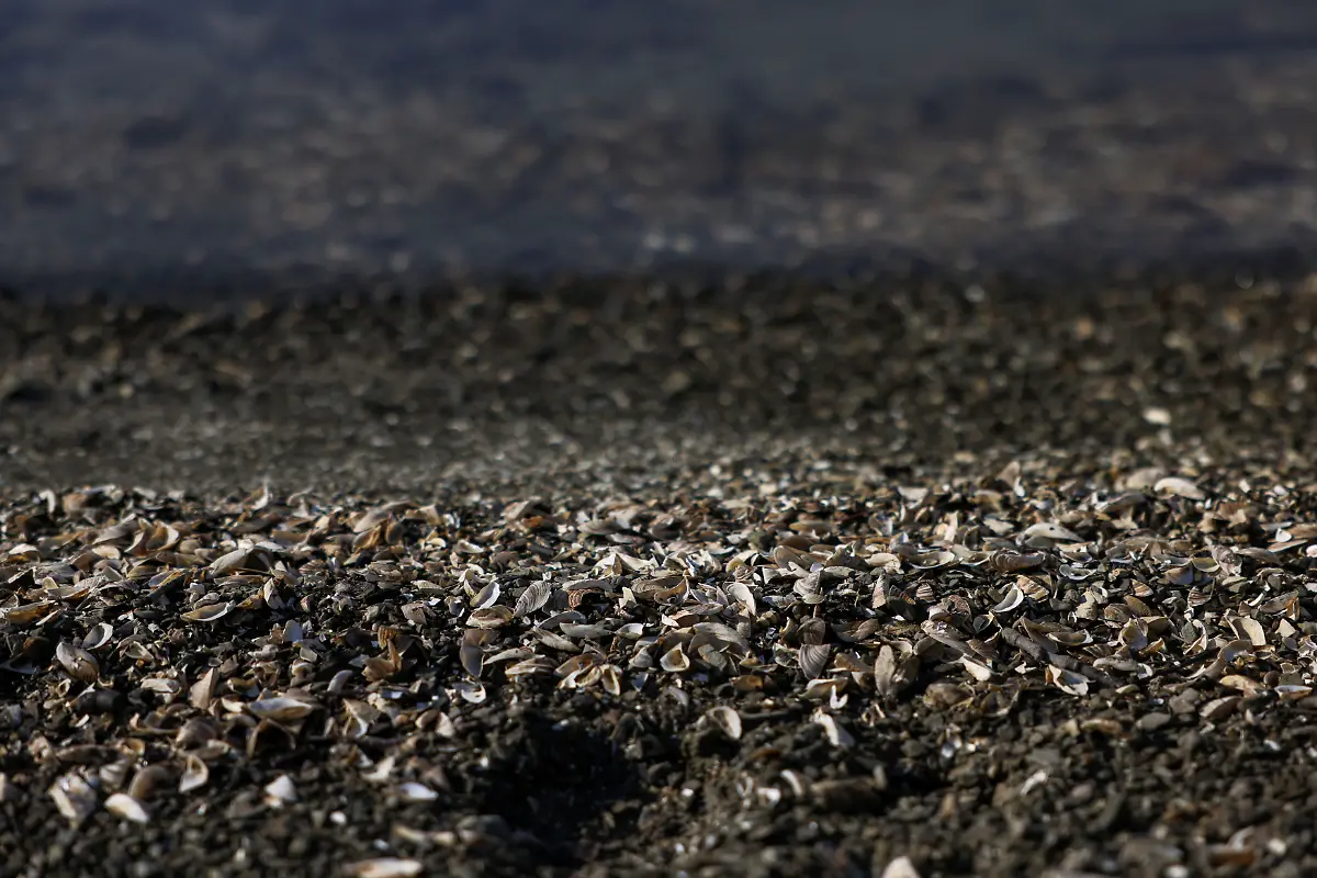 2024-09-03T142035Z-1252773480-RC2XS9ARWYQM-RTRMADP-3-EUROPE-WEATHER-GREECE-DROUGHT-LAKE