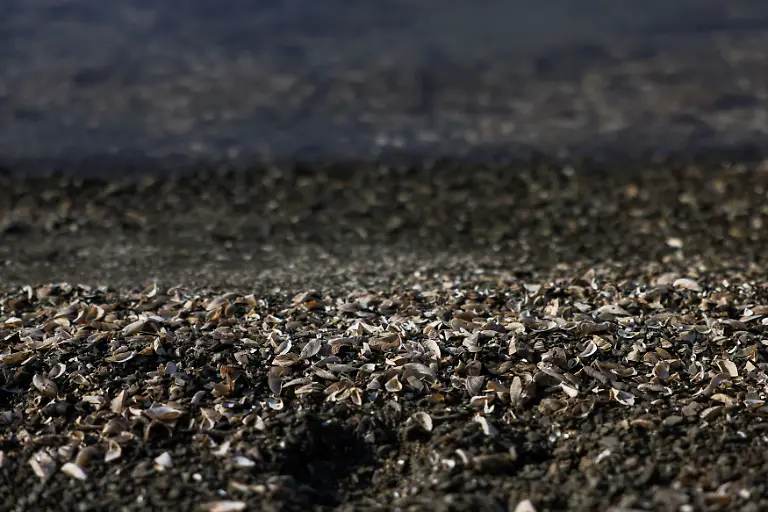 2024-09-03T142035Z-1252773480-RC2XS9ARWYQM-RTRMADP-3-EUROPE-WEATHER-GREECE-DROUGHT-LAKE