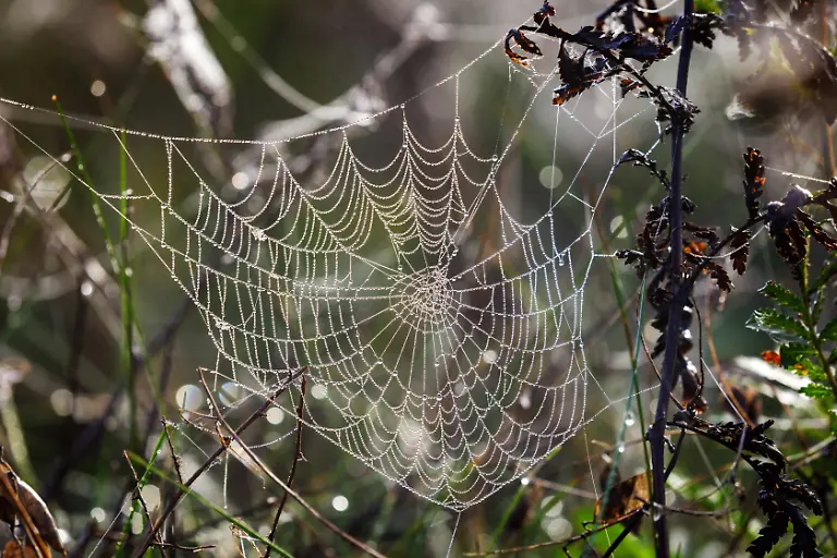 e9d432a309ed89087f3ef2c1187e5d82