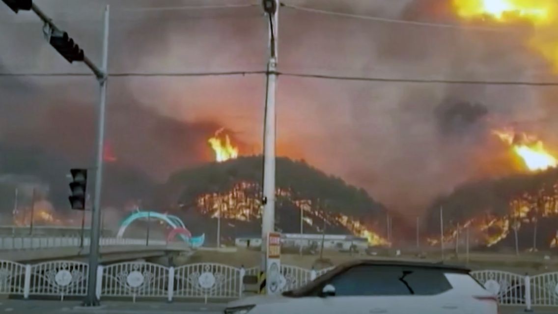 feuer.jpg