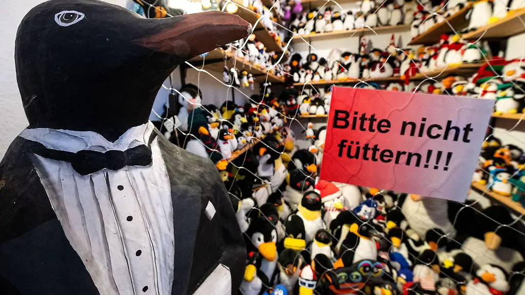In-dem-Museum-koennen-Besucher-unter-anderem-Pinguine-als-Plueschtiere-und-Sammlerfiguren-besichtigen