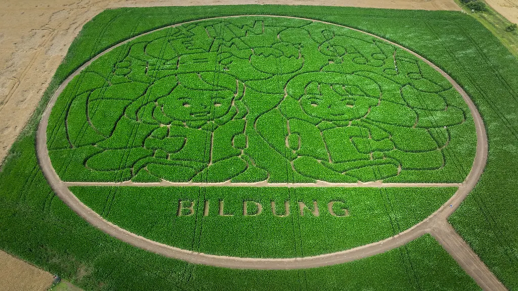 Die-kurze-Saison-endete-mit-einem-Besucherrekord-10-000-Menschen-kamen-ins-Maislabyrinth