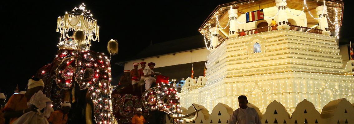 Geschmückte, heilige Elefanten bei dem buddhistischen Fest Esala Perahera, das in Sri Lanka gefeiert wird.