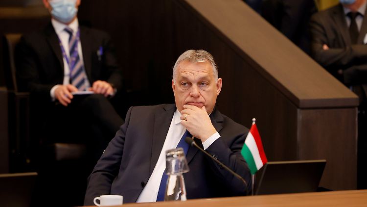 Orban betonte stets, dass er "Ungarn aus dem Krieg heraushält".