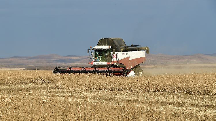 Im Jahr 2021 war Russland der weltweit größte Exporteur von Weizen, auf Platz fünf folgt die Ukraine.