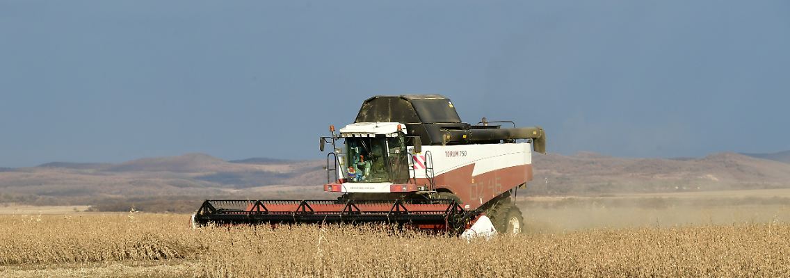 Im Jahr 2021 war Russland der weltweit größte Exporteur von Weizen, auf Platz fünf folgt die Ukraine.