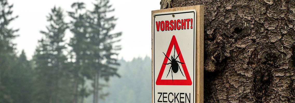Das Infektionsrisiko ist besonders hoch in Bayern, Baden-Württemberg, Südhessen und dem Südosten Thüringens.
