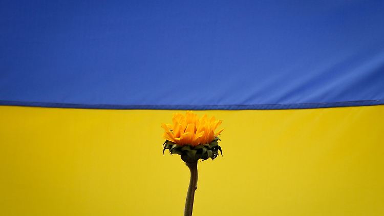 Könnte die Ukraine bald ihren Wunsch, NATO-Mitglied zu werden, aufgeben?