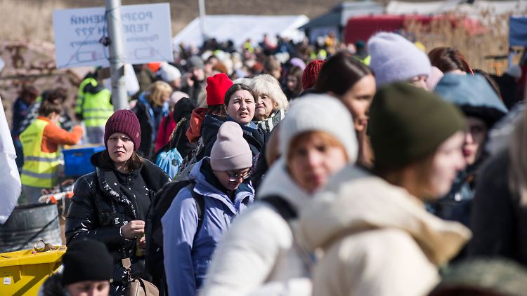 Vor allem in Polen suchen die Menschen derteit Schutz. 