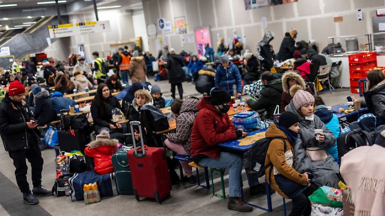 Jeden Tag kommen in Berlin rund 1000 Flüchtlinge aus der Ukraine an.