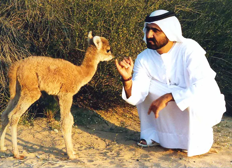 1998-01-20T000000Z-513595157-PBEAHULYVEZ-RTRMADP-3-UAE