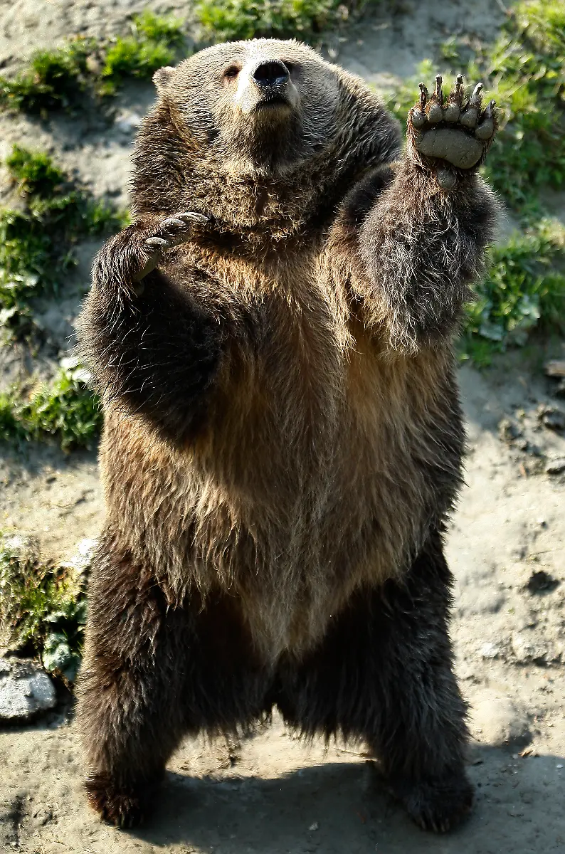 2008-09-25T120000Z-836552269-GM1E49P0URZ01-RTRMADP-3-CANADA