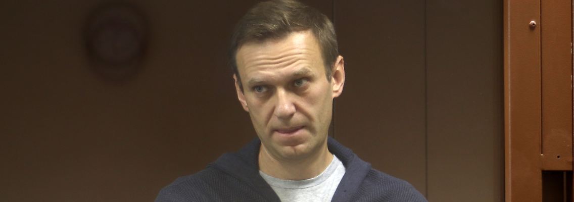 231895323.jpg