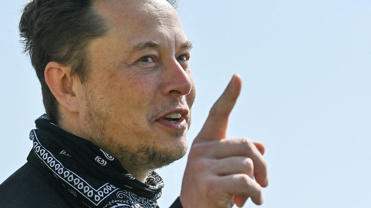 Elon Musk wird wohl so schnell nicht im "Akhmat Fight Club" zu sehen sein.