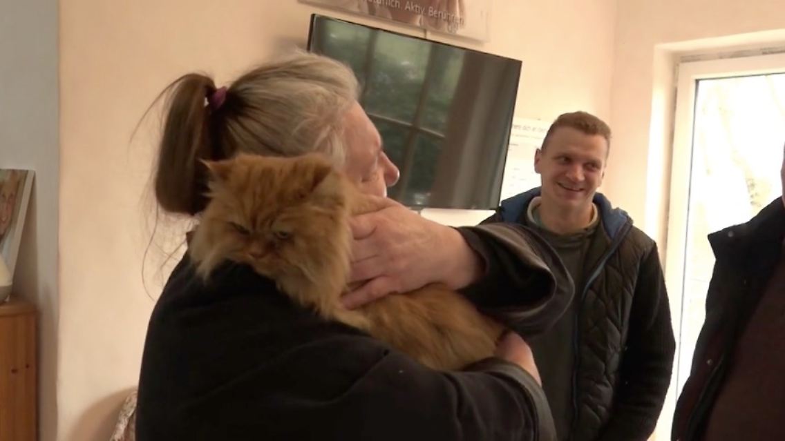 katze.jpg