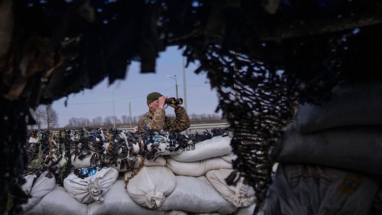Auf Beobachtungsposten: Ukrainischer Soldat bei der Stadt Lityn.