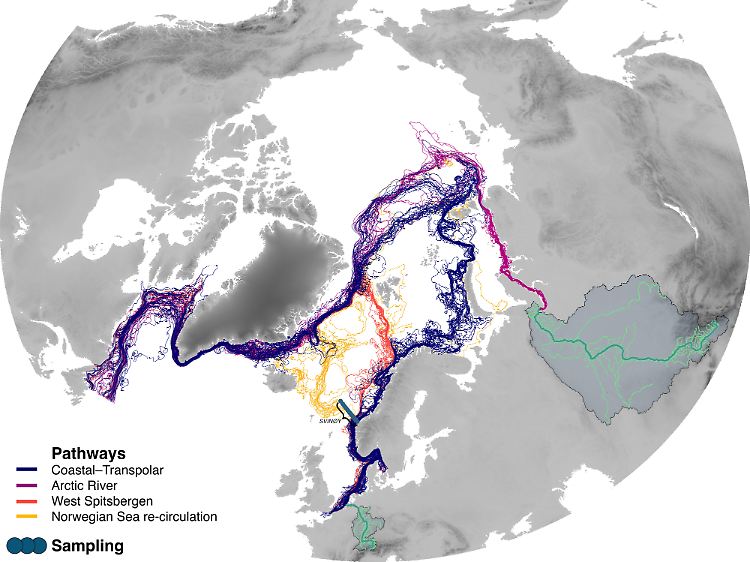 Hauptdriftpfade des europäischen schwimmfähigen Mikroplastiks durch das arktische Meer.