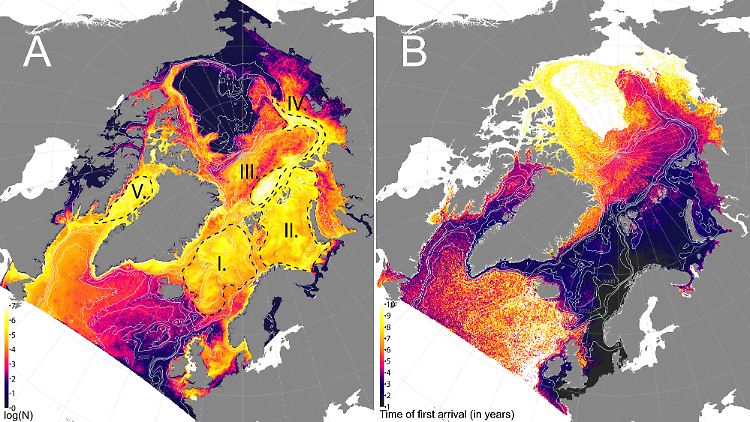 Akkumulationszonen im Ozean und geschätzter Zeitpunkt des Eintreffens von schwimmfähigem Mikroplastik aus Europa in der Arktis.