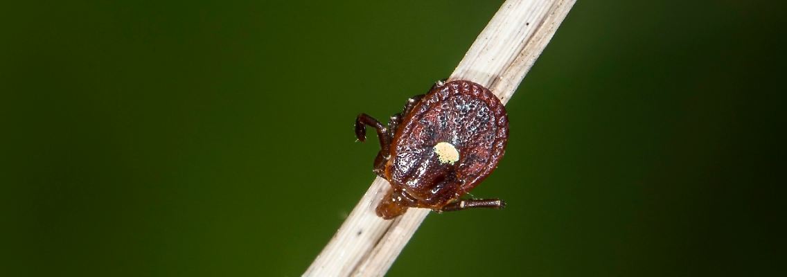 imago0150689721h.jpg