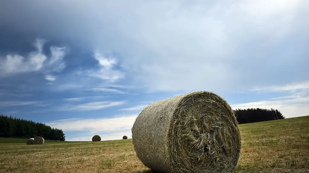 Zum-Wochenende-hin-erwartet-der-Deutsche-Wetterdienst-etwas-Abkuehlung-in-Nordrhein-Westfalen
