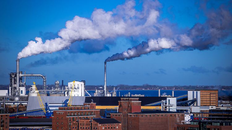 Rauch steigt aus Schornsteinen von holzverarbeitenden Industriebetrieben am Seehafen Wismar auf.