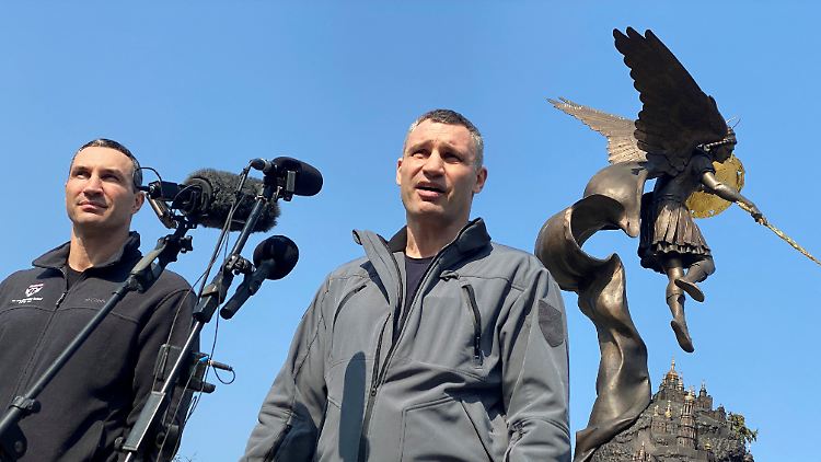 Wladimir und Vitali Klitschko geben eine Pressekonferenz in Kiew. 