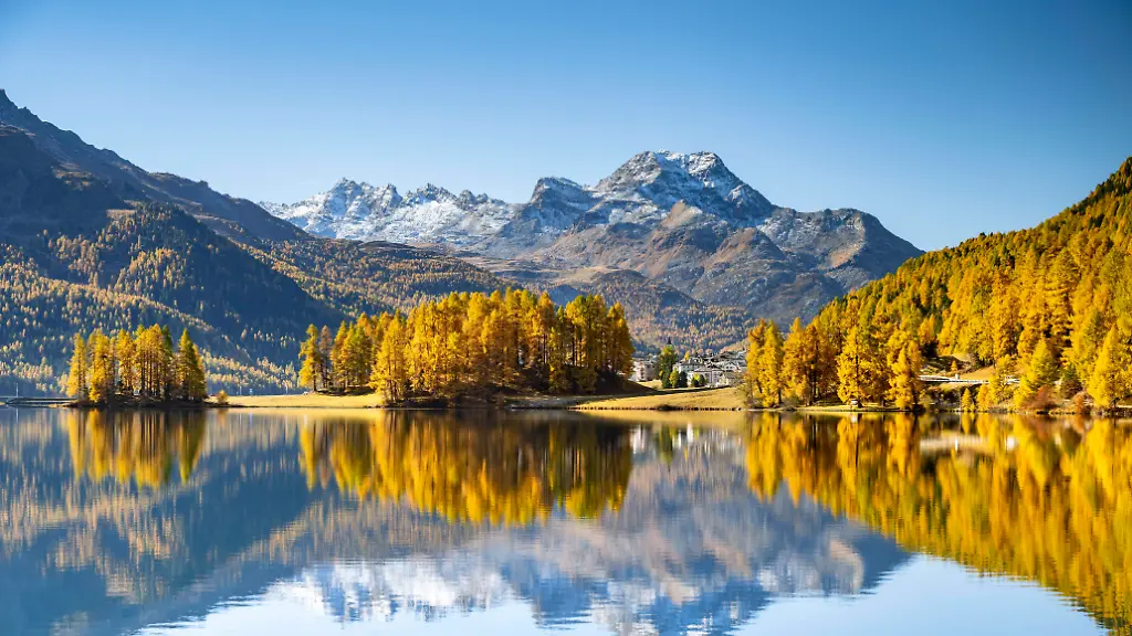 567bfc3460126e255e412e8fe98a3a9b