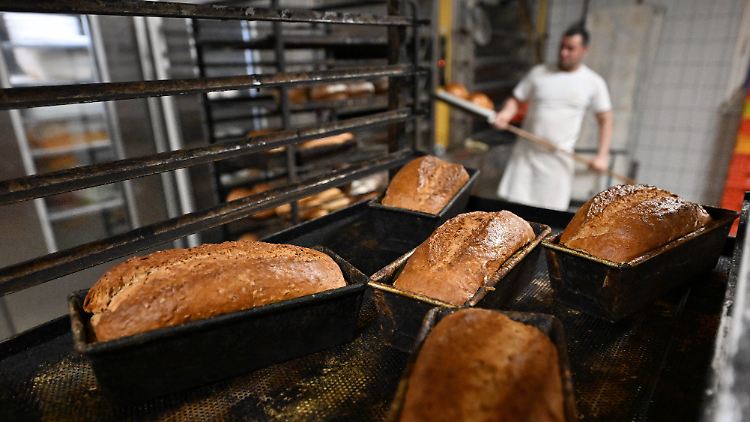 Landwirte schätzen, dass Lebensmittel im Schnitt 20 bis 40 Prozent teurer werden.