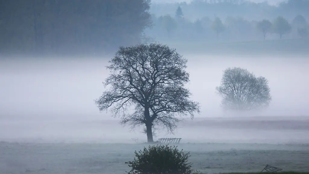 Die-Landeslehrstaette-fuer-Naturschutz-und-nachhaltige-Entwicklung-Mecklenburg-Vorpommern-feiert-im-September-2024-ihr-70-jaehriges-Bestehen