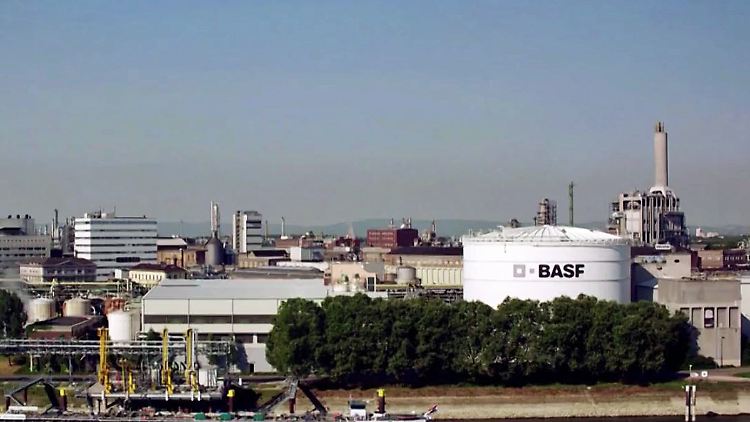 BASF.JPG