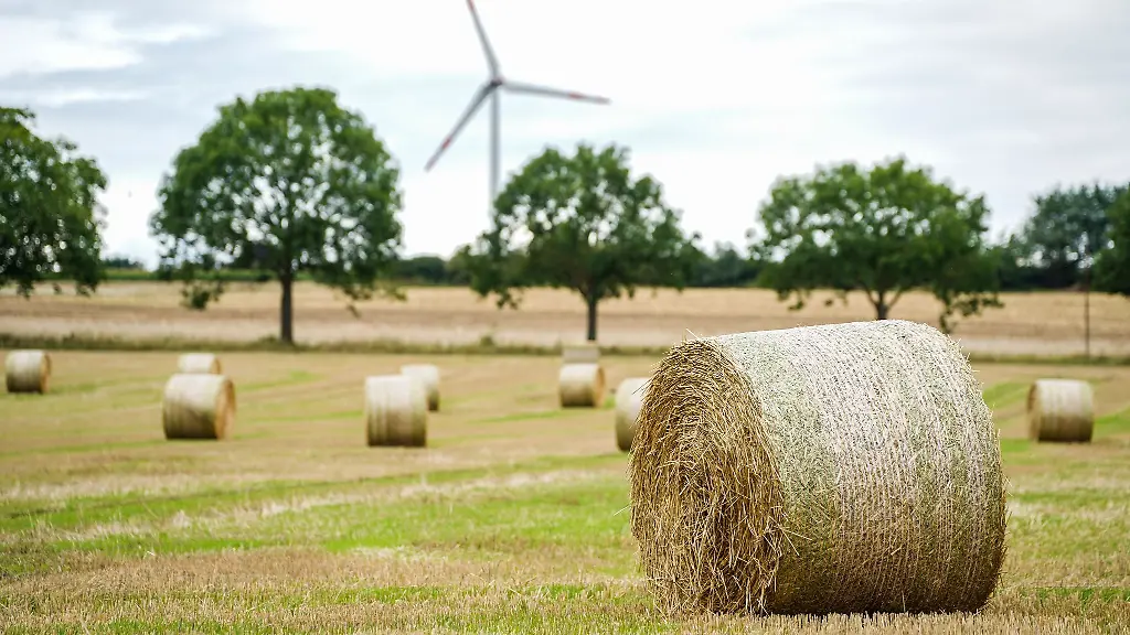 Land-foerdert-moderne-Heuverarbeitungsanlage-mit-1-9-Millionen-Euro