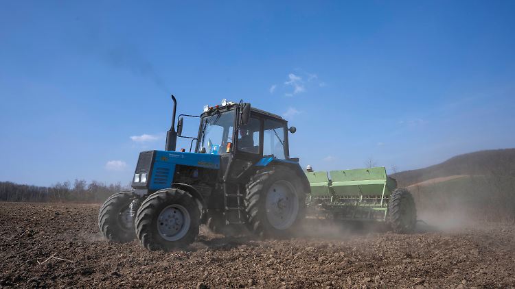 Wegen des Krieges fehlt es nicht nur an Anbauflächen, sondern auch an Landwirten, die sie bestellen.