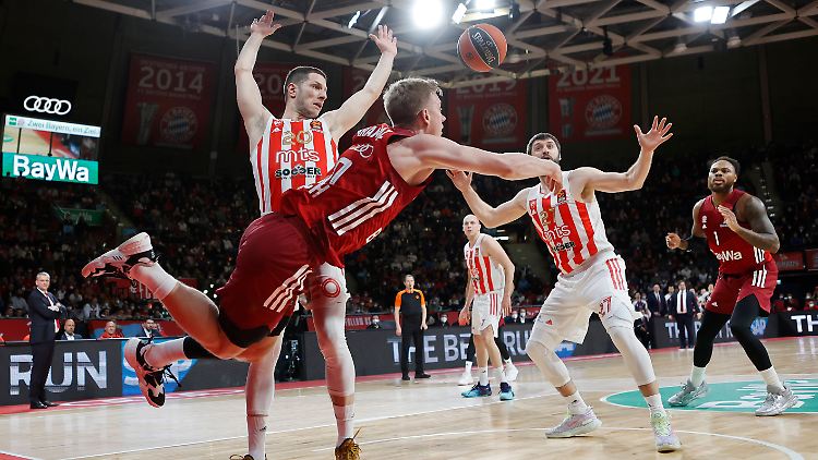Im Vorjahr schafften es die Münchner bis ins EuroLeague-Viertelfinale.