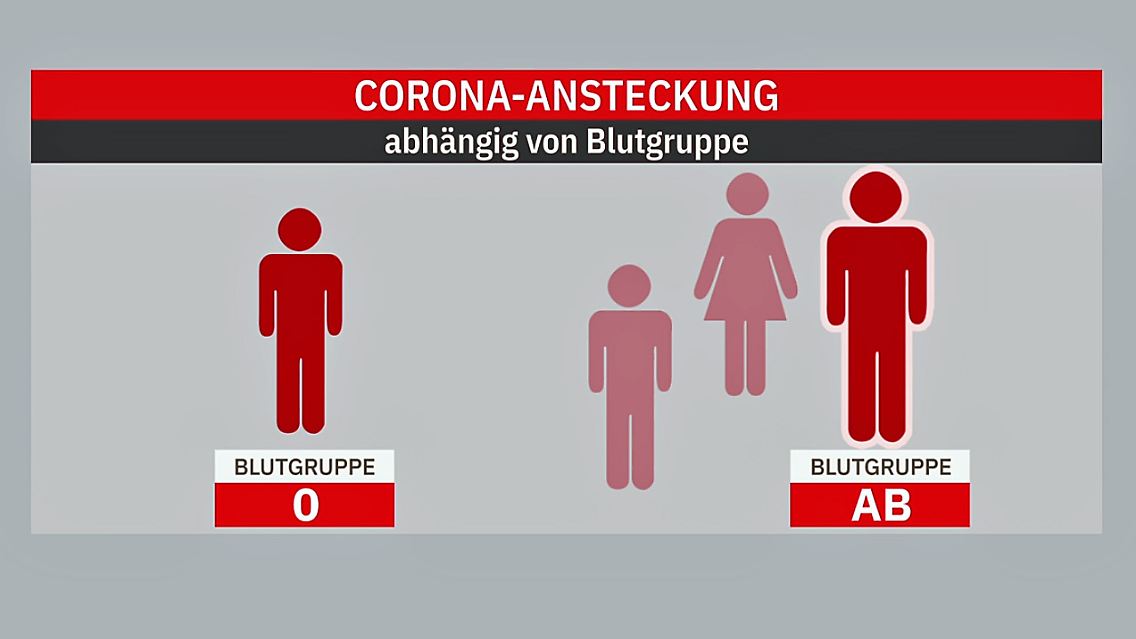 blutgruppe.jpg