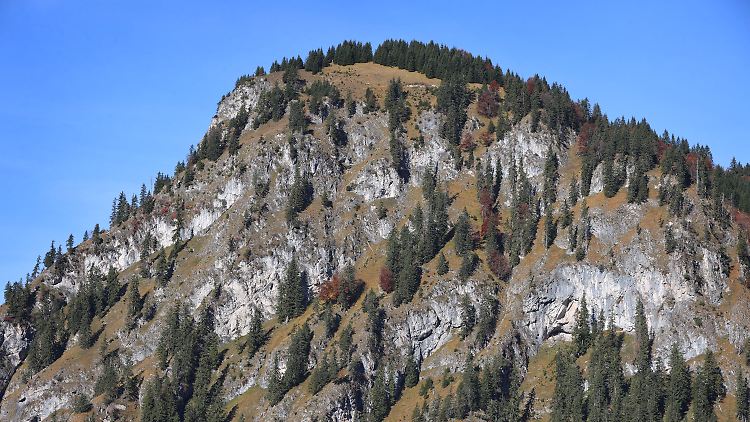 Die Berge in den Alpen werden immer stärker mit Bäumen zuwachsen.