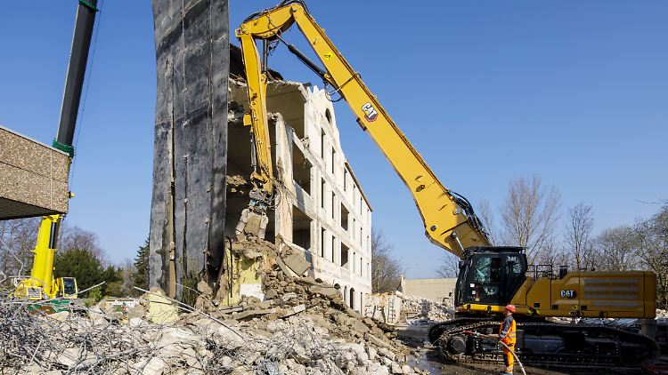 Mauersegler, Haussperlinge und Fledermäuse sollen Ersatzwohnraum bekommen.