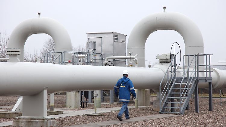 Habeck will die Energie-Infrastruktur in den Blick nehmen.