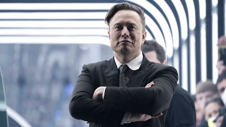 Musk hat bei Twitter rund 80 Millionen Follower.