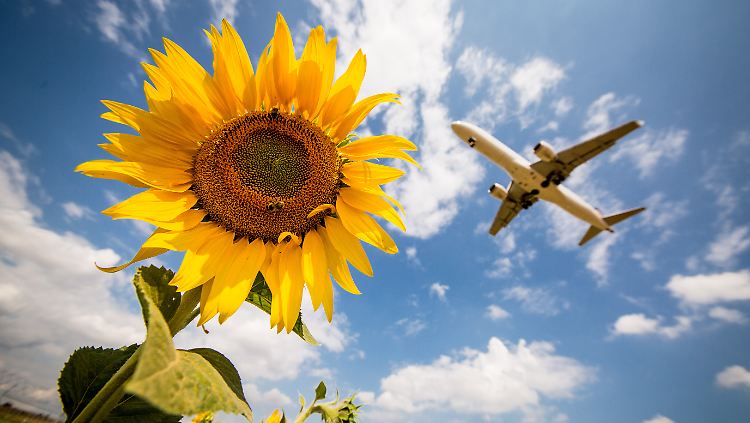 Von einem grünen europäischen Flugverkehr würden Autokraten profitieren, fürchtet die deutsche Luftfahrt. 