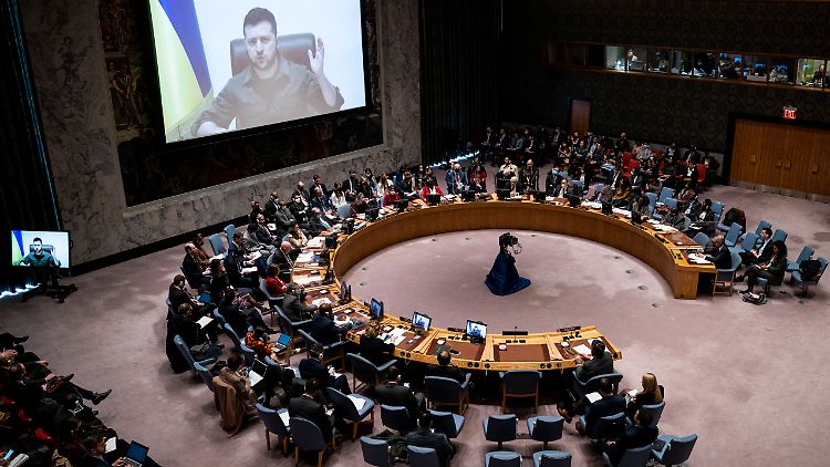 Der ukrainische Präsident Wolodymyr Selenskyj fordert den UN-Sicherheitsrat auf, Russland für die Massaker in Butscha zur Verantwortung zu ziehen.