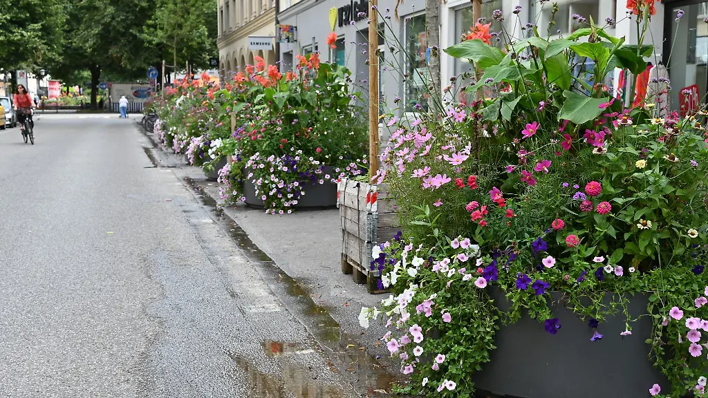 Knapp-ein-Jahr-lang-ist-ein-Teil-der-Weissenburger-Strasse-zu-einer-Fussgaengerzone-umgewidmet
