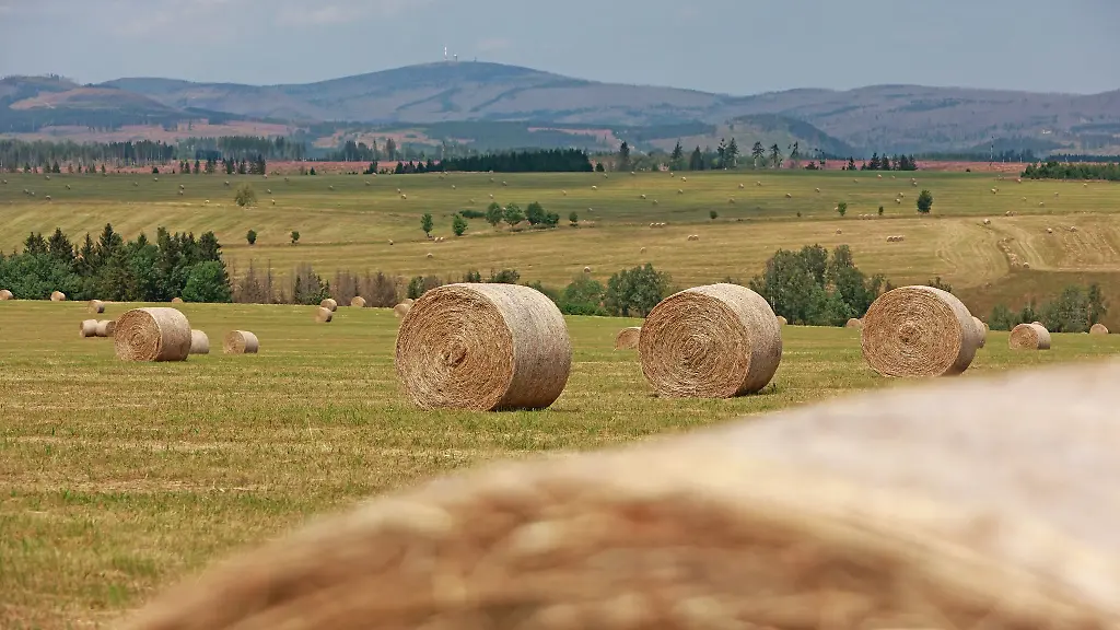 Der-Preis-fuer-landwirtschaftliche-Flaechen-ist-in-Sachsen-Anhalt-gestiegen