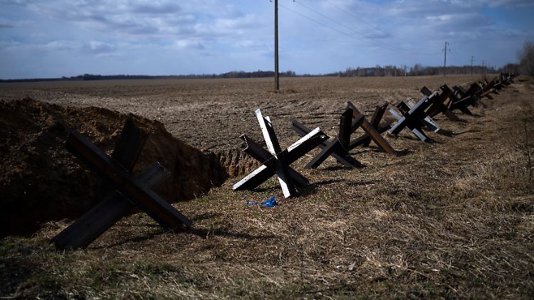 Viele Landwirte in der Ukraine können nicht mehr auf die Felder gehen, weil es angesichts des Krieges zu gefährlich ist.