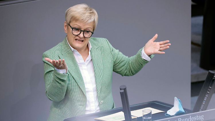 Künast wird im Netz immer wieder attackiert.