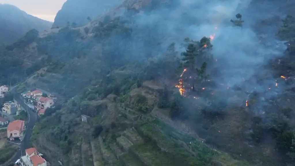 860fa6e7b3d404242c48fb0a20e0c2c4