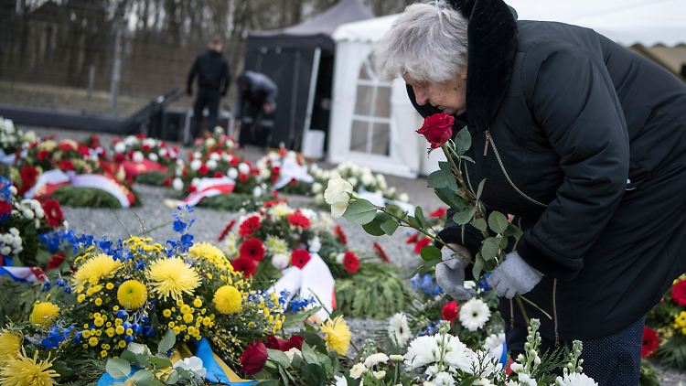 Die 96-jährige Anastasia Gulej überlebte den Holocaust - und musste vor kurzem vor dem russischen Angriffskrieg aus der Ukraine fliehen.