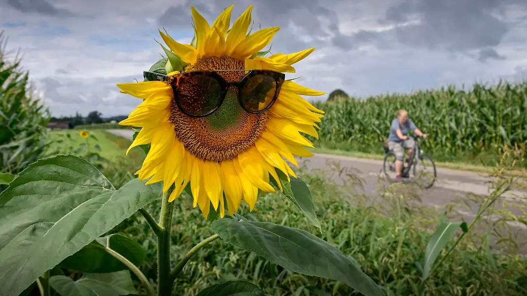 Um-die-Alpen-herum-gibt-es-Regen-der-Rest-Bayerns-bleibt-diese-Woche-meist-trocken
