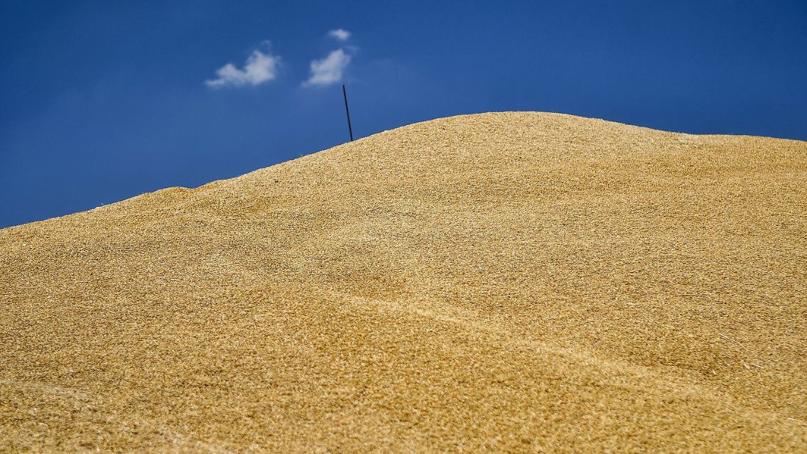 Wegen des massiven Getreideexports gilt die Ukraine als "Kornkammer der Welt".
